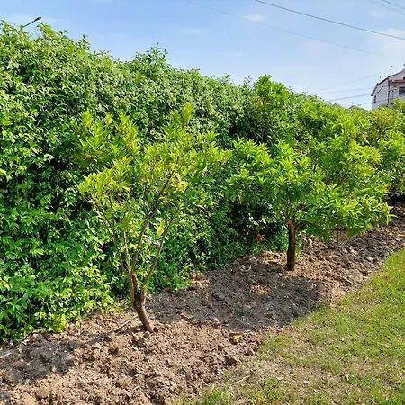 Greenvilla Park Durrës